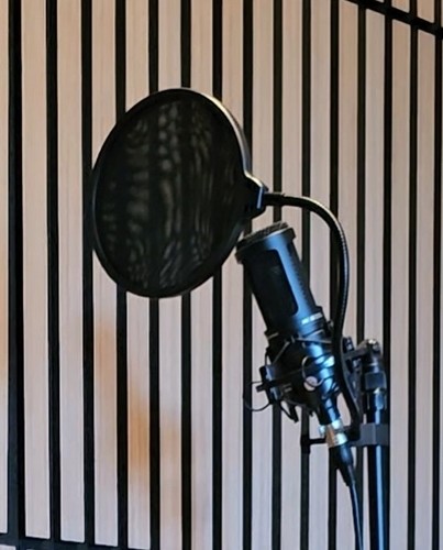 Audio technica at2020 cardioid - audio-technica,
