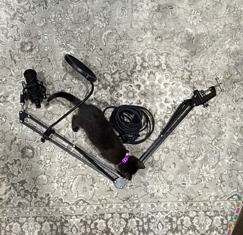 Audio technica at2020 - audio-technica,